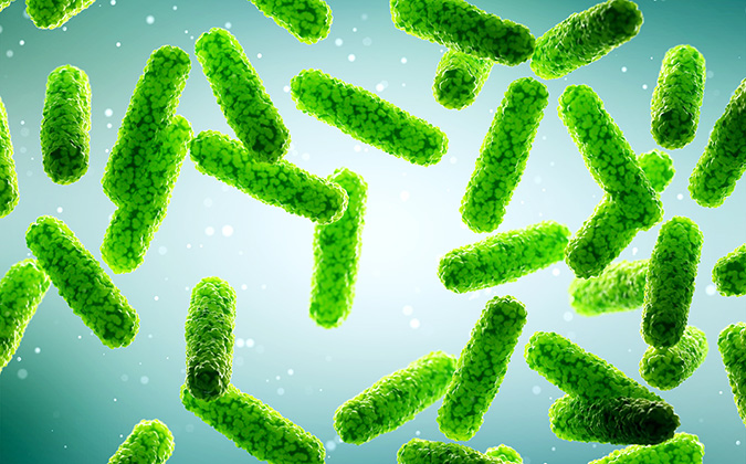 3d rendered illustration of some generic rod shaped bacteria