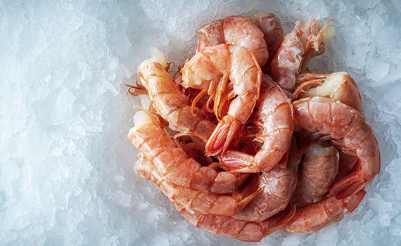 Sea delicacies. Fresh seafood. Shrimp on ice.