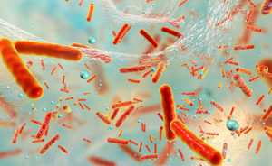 FHFweb antimicrobe resistance Asia 176740754