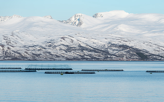 Fish farming in Norway