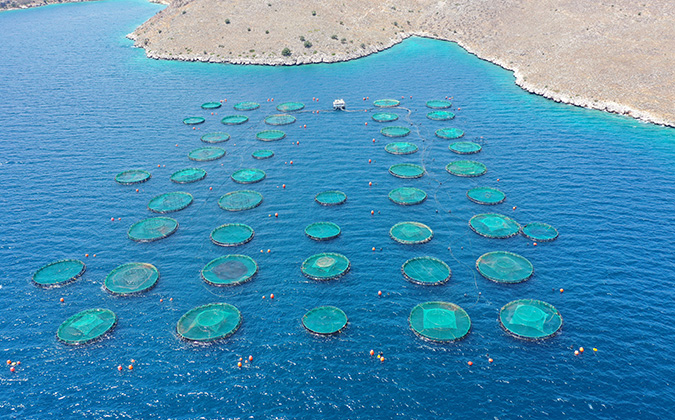 Aerial drone photo of fish farming unit of sea bass and sea brea