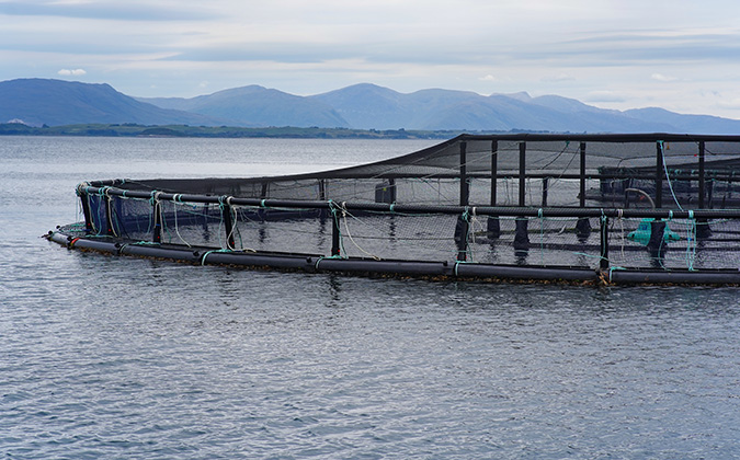 A Salmon farm on the Scottish west coast